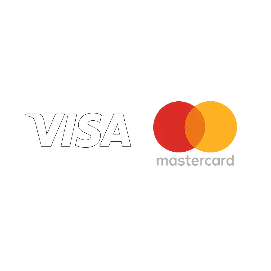 Visa / Mastercard icon